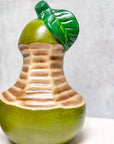 Ceramic Pear Closeup
